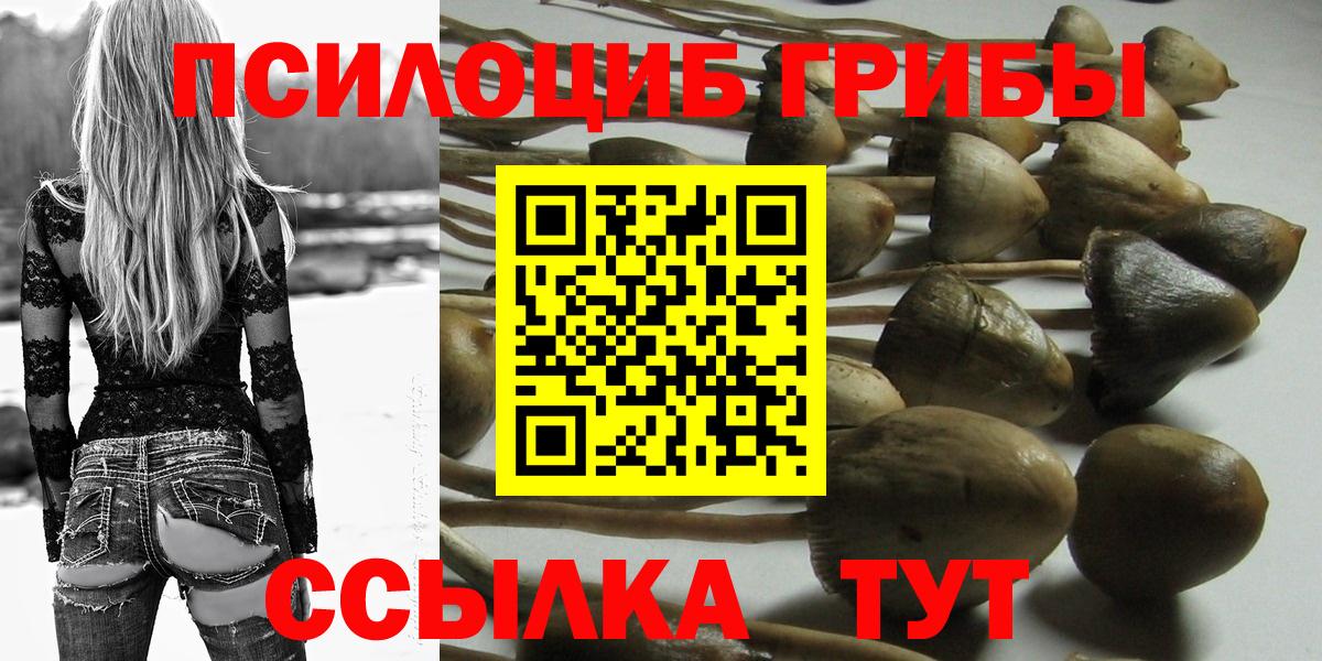 Ирбит  Псилоцибиновые грибы Cubensis  Вход с VPN  Галлюциногенные грибы Psilocybe 